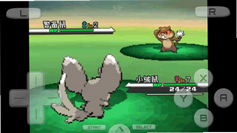 �ڴ����ְ� Pokemon White2026 �������İ�