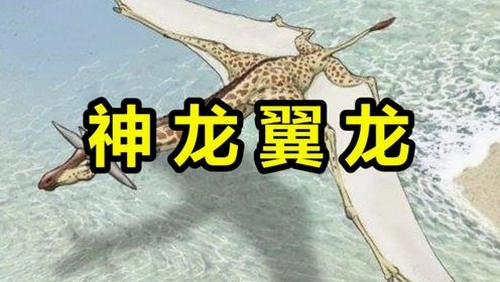 翼龙传说 yilongcs2026 中文破解版 翼龙传说 yilongcs2026 中文破解版