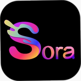 ���Sora Sora2026 ��ɫӲ�̰�