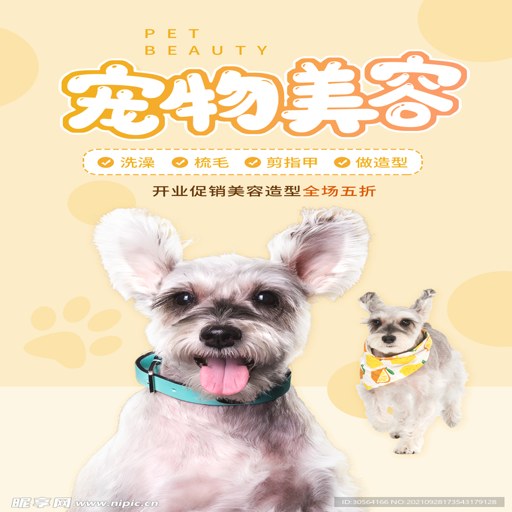 �������ݵ� Doggie Dash2026 ��ɫӲ�̰�