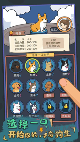 狗生模拟器下载最新版v1.0.12 安卓版 狗生模拟器下载最新版v1.0.12 安卓版