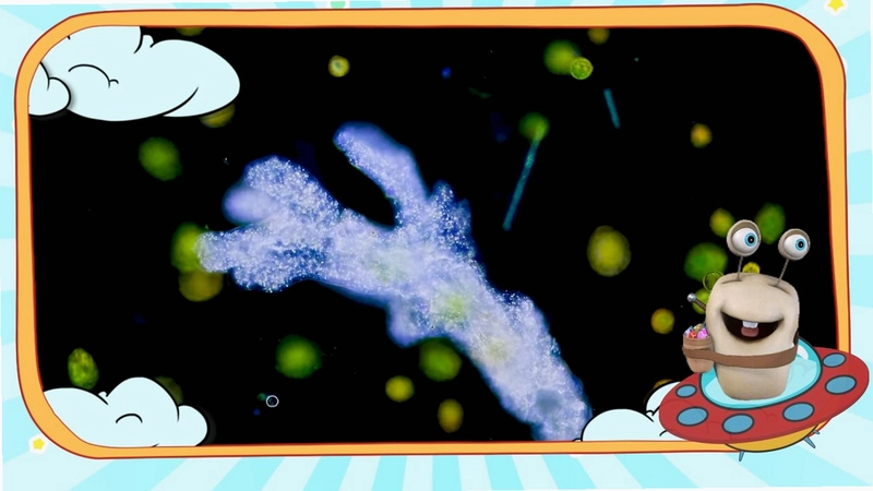 ���γ� Amoeba2026 �ٷ���