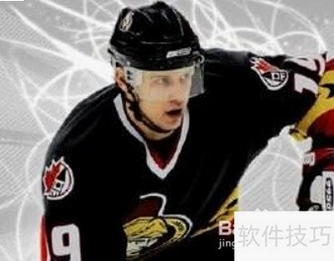 EA����2004 EA Sports NHL 20042004 ��ʽ�� ���򾺼���Ϸ
