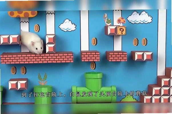 ����Ӣ�� Hamster Heroe2026 �ⰲװ��