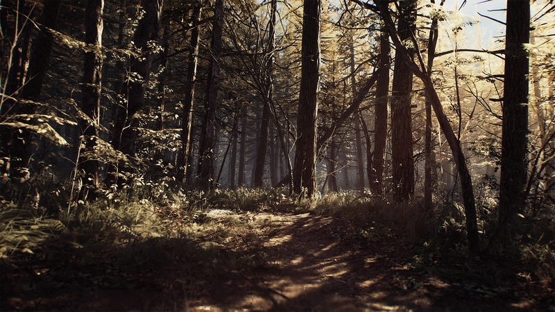 ������Ů�� Blair Witch2026 �ٷ����İ�