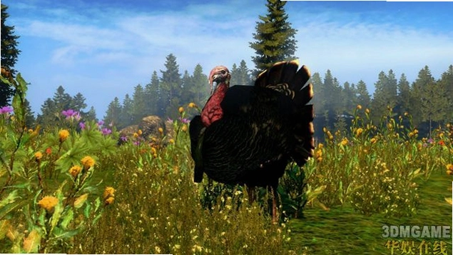 ������Ұ��ð��2010 Cabelas Outdoor Adventures 20102010 �ⰲװ��