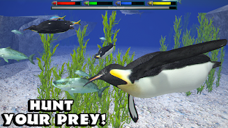 �ռ�������ģ���������ֻ���(ArcticSim)v1.1 ���°�
