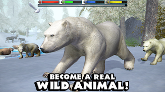 �ռ�������ģ���������ֻ���(ArcticSim)v1.1 ���°�