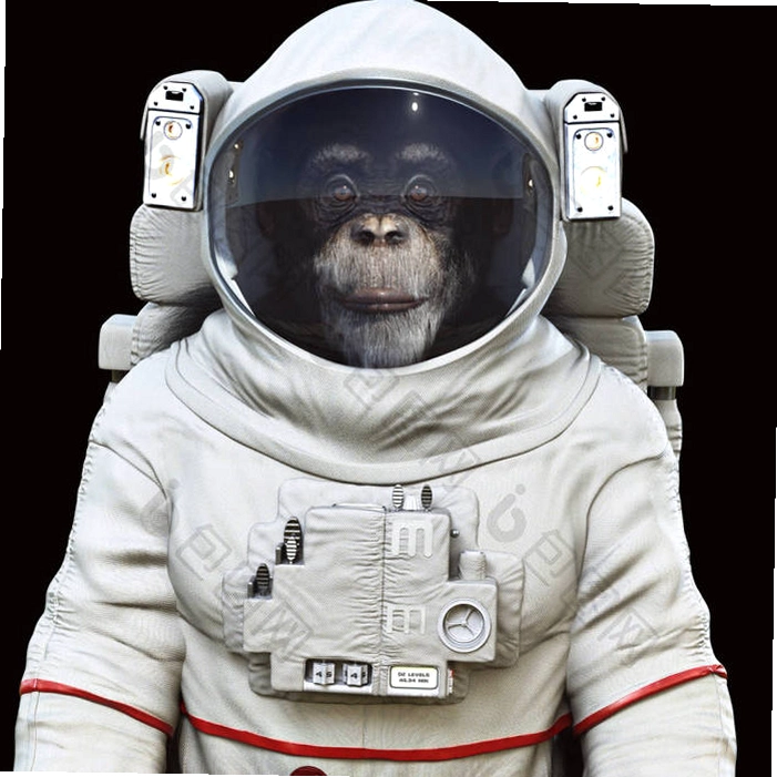 ̫�պ����� Space Chimps2026 Ӳ�̰�