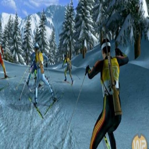 ��ѩ���2008 RTL Biathlon 20081.0 ���İ�