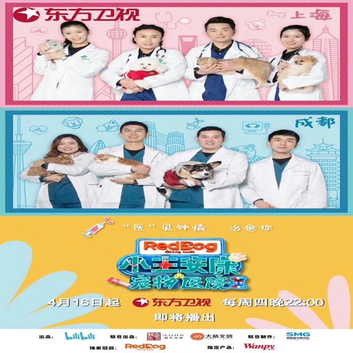 ����ҽԺ2:����֮�� Paws  Claws Pet Vet 2: Healing HandsӲ�̰� 2026 ģ�⾭Ӫ��Ϸ