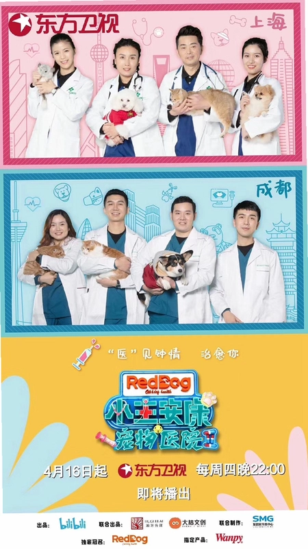 ����ҽԺ2:����֮�� Paws  Claws Pet Vet 2: Healing HandsӲ�̰� 2026 ģ�⾭Ӫ��Ϸ