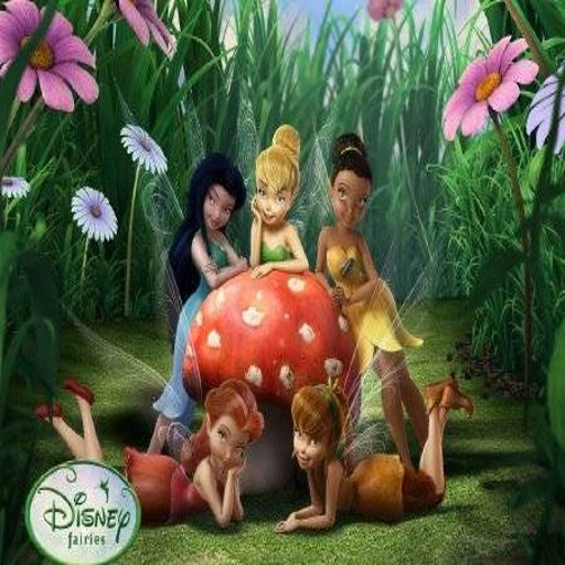 ƿ֮��Ů Fairies2026 Ӳ�̰�