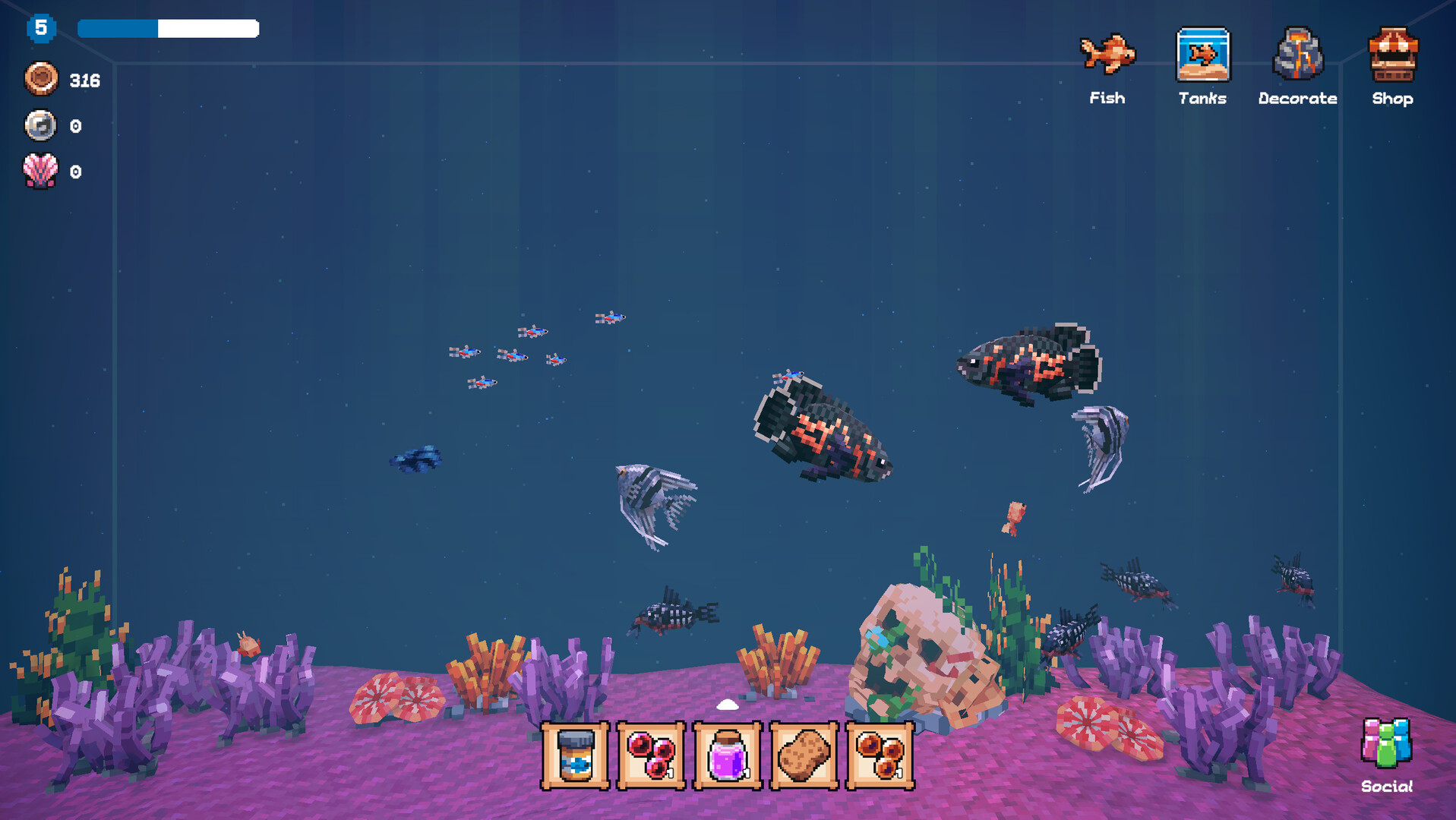ȫ�����Ѿ��ֲ����°�����(Tiny Aquarium) ����� �������� ϡ���㷱ֳ