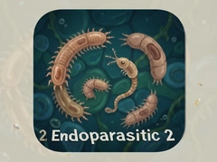 ���ڼ�����2�ֻ������� Endoparasitic 2��׿