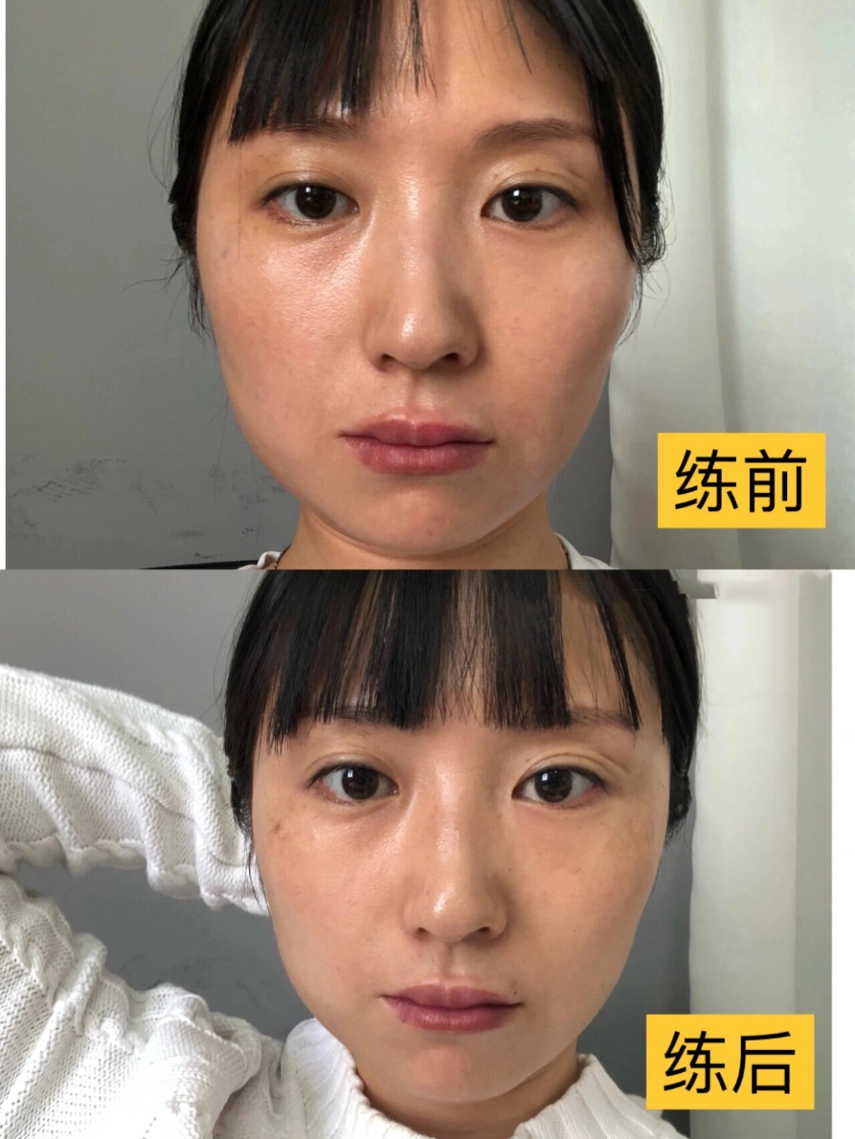 Yolight�沿�٤���°� ����� ���� Ч�� �Ա�