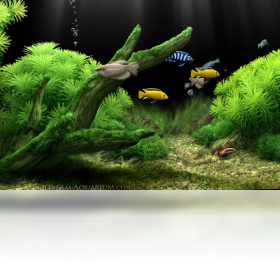 Dream Aquarium ��׿�� ����