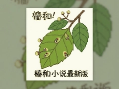 ����С˵���°��������������