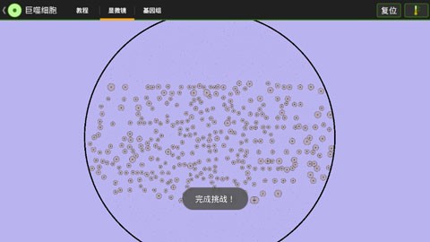 ϸ��ʵ�������ֻ������� ��׿APK ��ȫ��װ�� ��ͼ