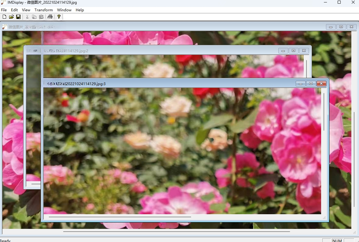 ImageMagick7.1.1 ͼ����������