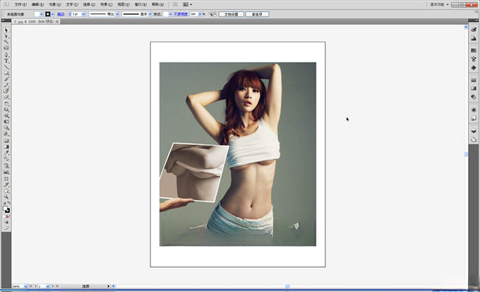 Adobe Illustrator CS5CS5 ʸ����ͼ����