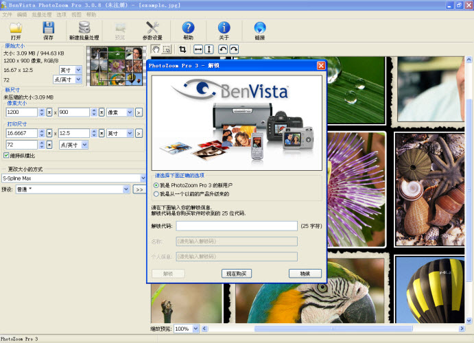 PhotoZoom Pro9.0.2 רҵͼƬ����Ŵ󹤾�