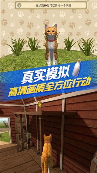 è������ģ�������°�����(CatSim)v216 ��׿��