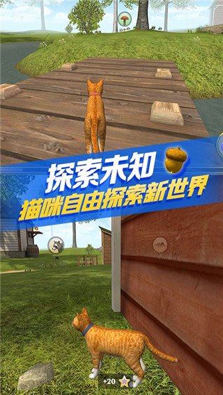 è������ģ�������°�����(CatSim)v216 ��׿��