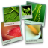 FotoWall1.0.0 ͼƬǽ��������