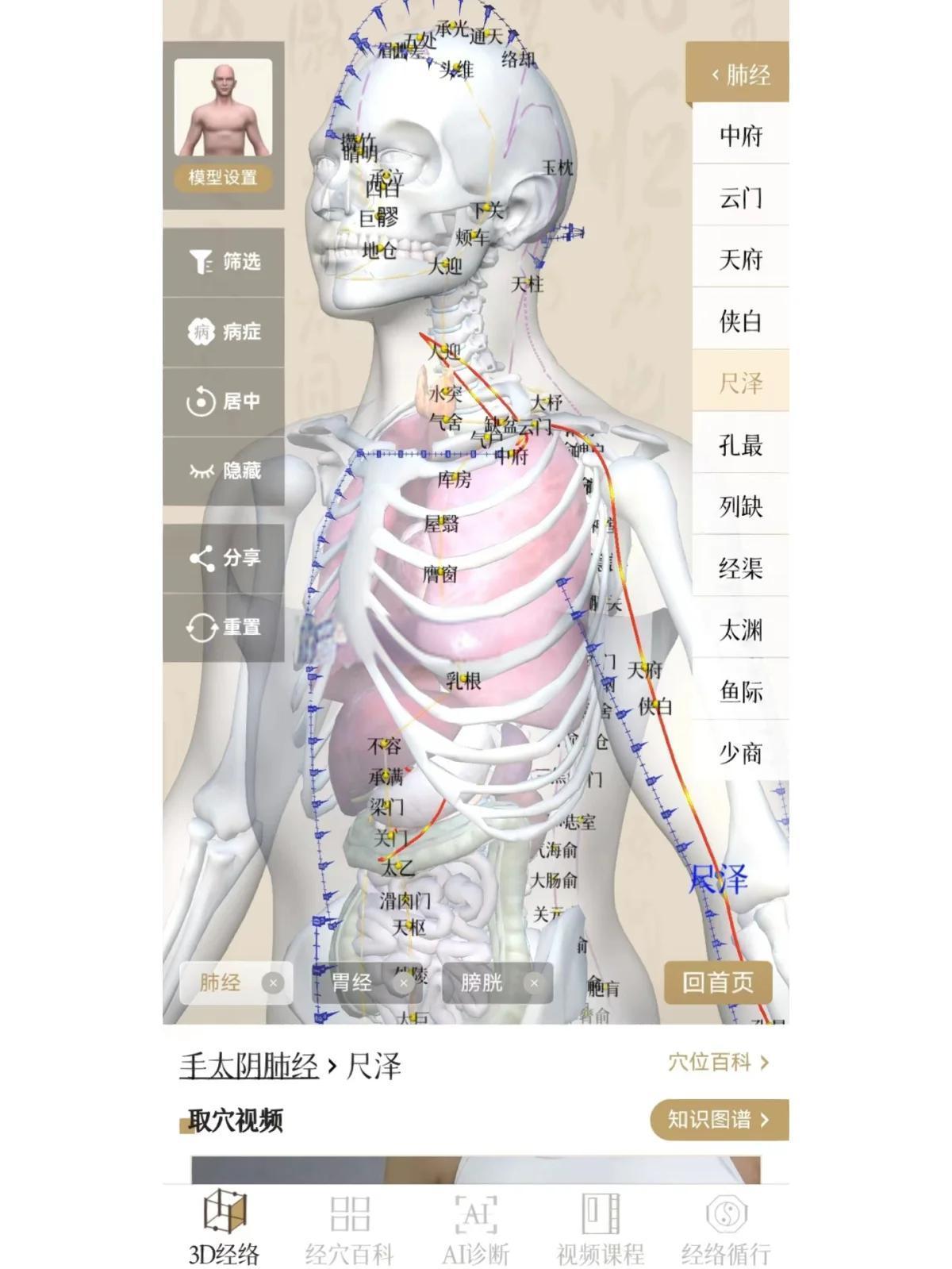 AI����ҽ ��׿�� 3DѨλ ��ͼ