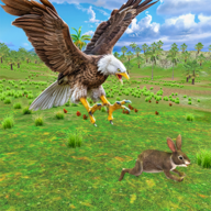 ��ӥ��Ϸ 3D ��ӥģ����1.0.7 3Dģ�����
