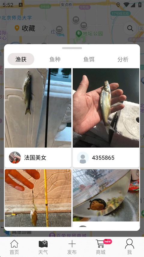 Я������ ��׿�� ����¼����