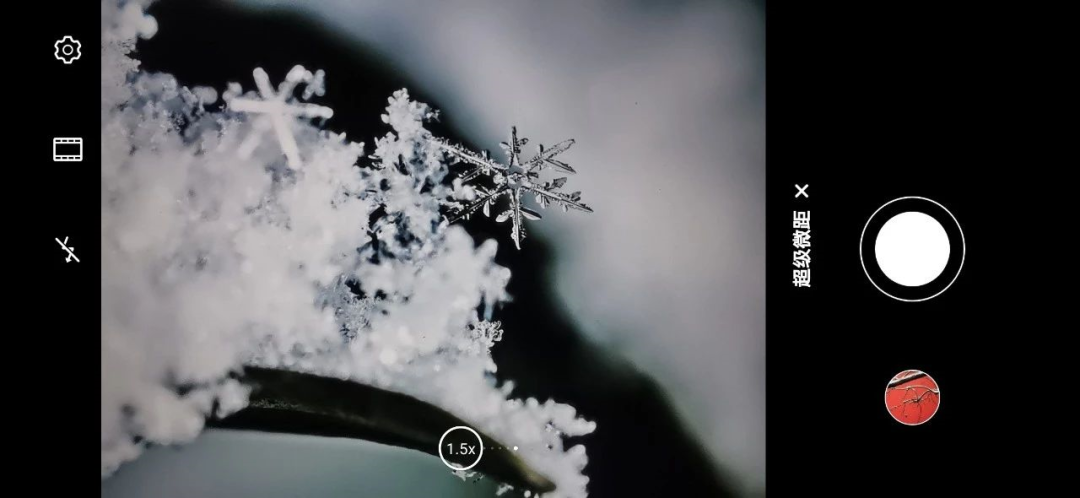 snow����ֻ������ռ��ɺ��˾��Ƽ�