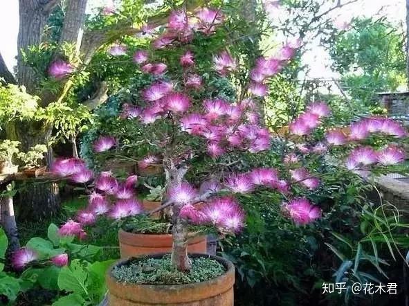 ���˺ϻ� ���� ��ͥ���� ��ˮ ���� ʩ��