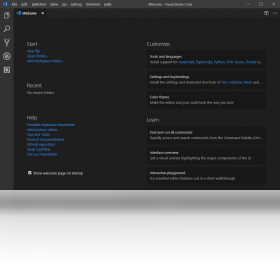 Visual Studio Code1.98.0 ȫ�ܴ���༭��