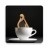 ԭ�ٸ�������Mio.github.qinmingming16.magilm4.1.0 ���ศ��