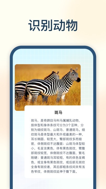 �Ծ���v5.2.0 ���԰�