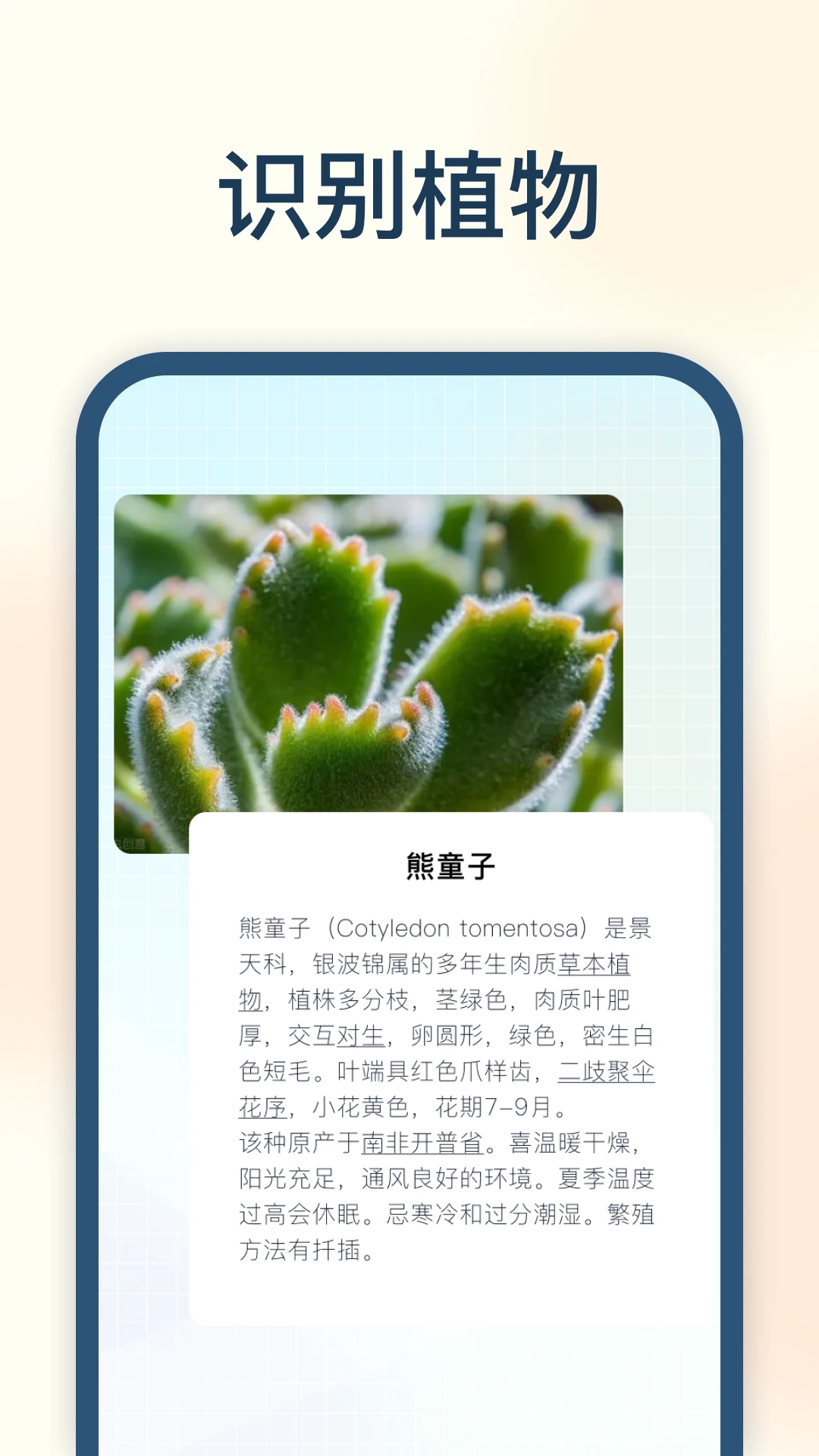 �Ծ���v5.2.0 ���԰�