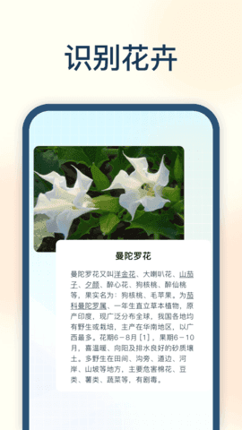 �Ծ���v5.2.0 ���԰�