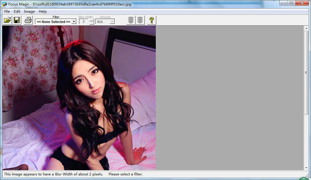 Focus Magic5.0.0 ͼ�������޸�����