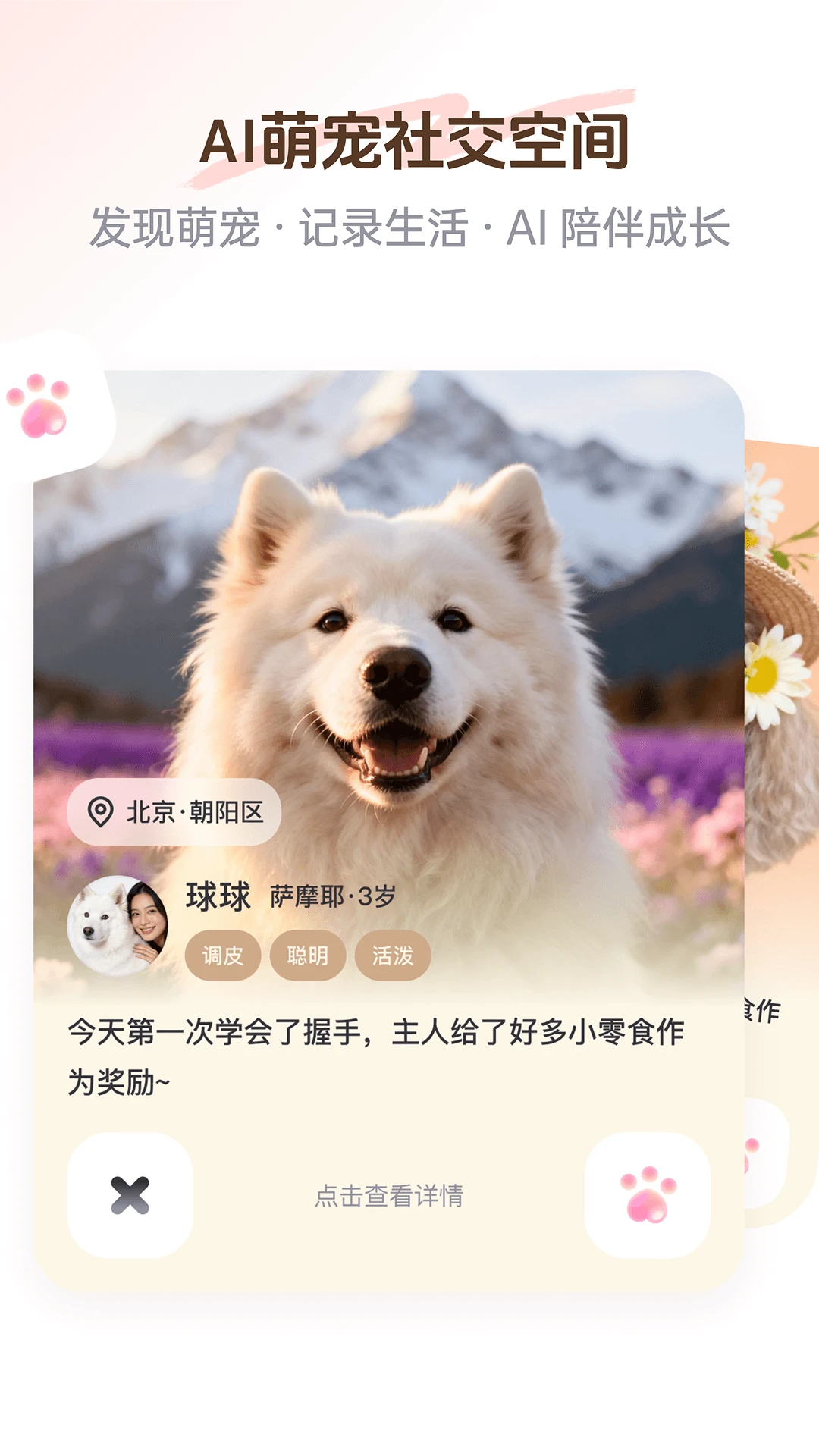 PetSpace2.4.0 �����罻����