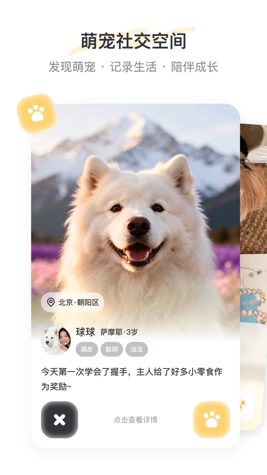 PetSpace2.4.0 �����罻����
