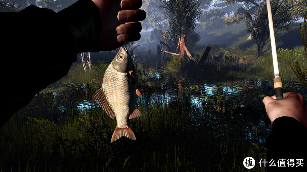 ���㹫˾��steam��ֲ���ֻ�����Ϸ����