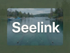 Seelink��ʲô������Seelink������ʹ�÷������