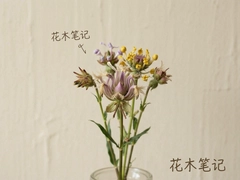 ��ľ�ʼǣ���̨����ʵ�ü�����ֲ������ָ��