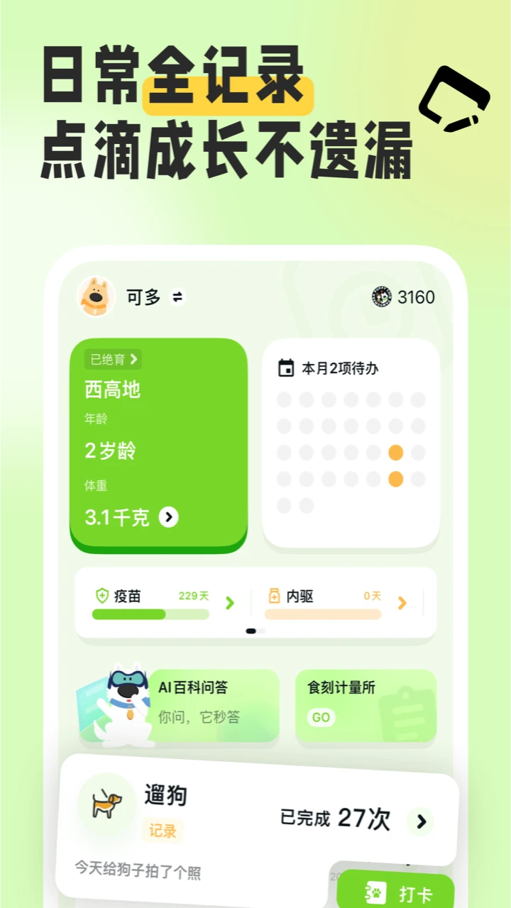 β�ͼ�Ԫ1.21.1 ������������