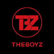 THE BOYZ Light Stick1.1.78 ��˿ӦԮ�ر�