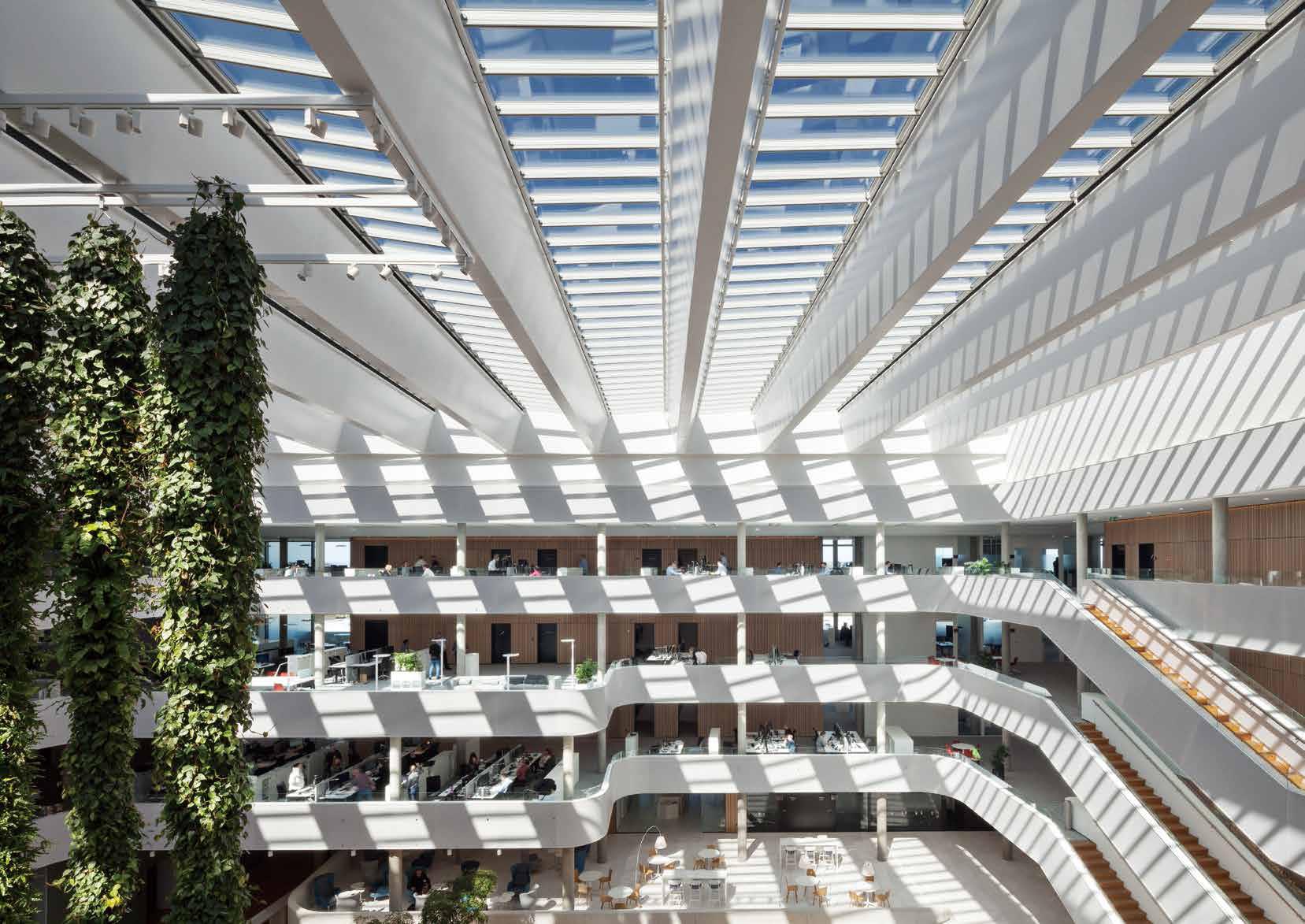 Atrium��ͥ���װ�ް��� �ɹ���ֲ