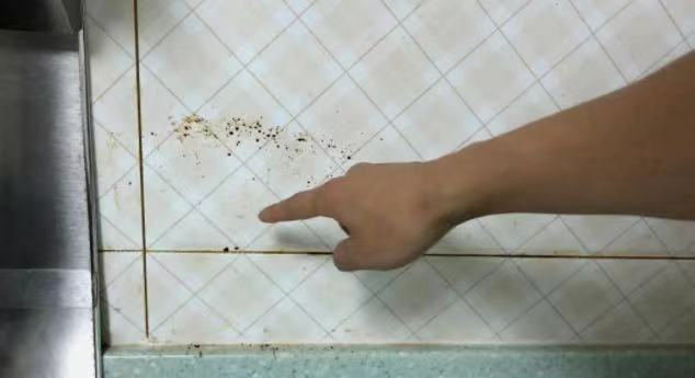 ������ȫ���� �������۴�ש����෽��