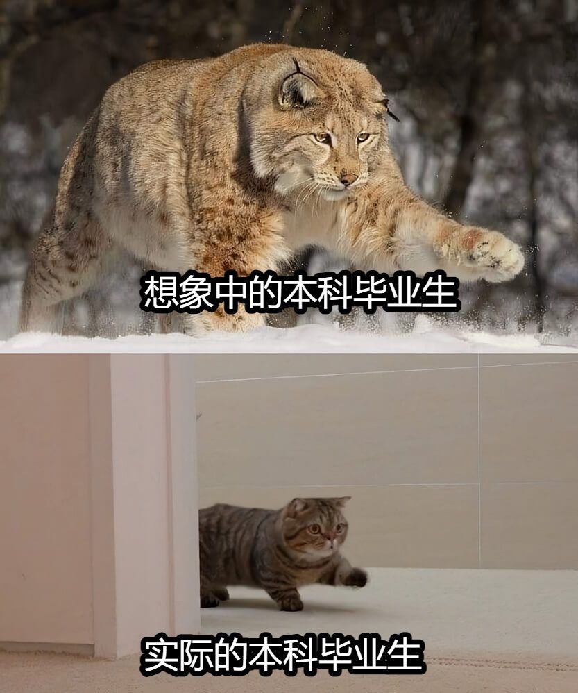 ���� ���繣������ͼ